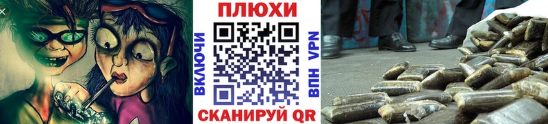 дарнет шоп  Кедровый  ГАШ ice o lator 