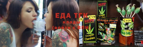 прущие грибы Инта