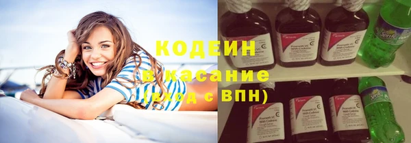 прущие грибы Инта