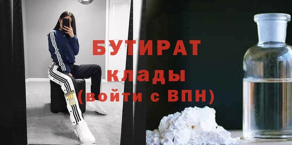 прущие грибы Инта
