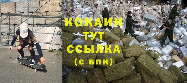 прущие грибы Инта