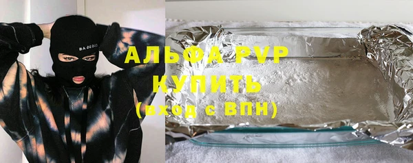 прущие грибы Инта