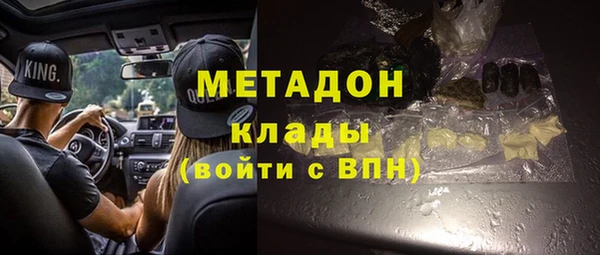 прущие грибы Инта