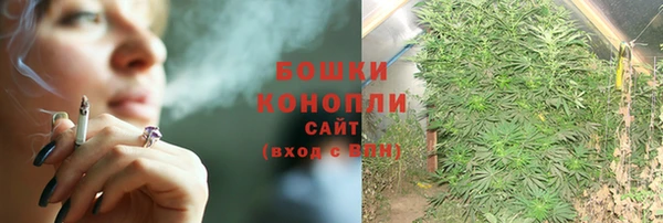 прущие грибы Инта