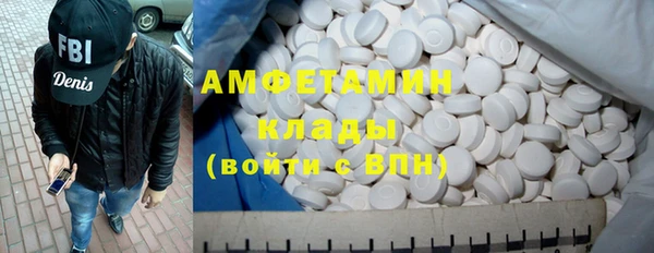 прущие грибы Инта