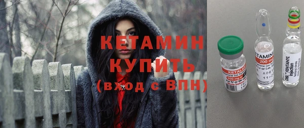 прущие грибы Инта