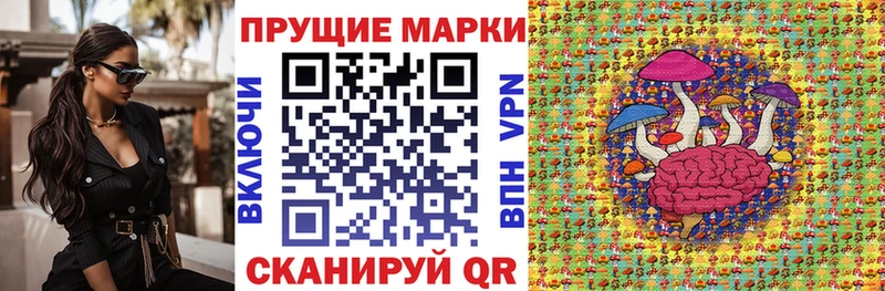 купить наркотик  Кедровый  Марки 25I-NBOMe 1500мкг 