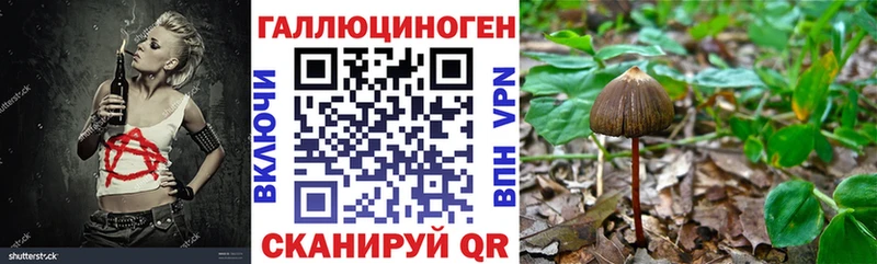 Псилоцибиновые грибы мухоморы  Кедровый 